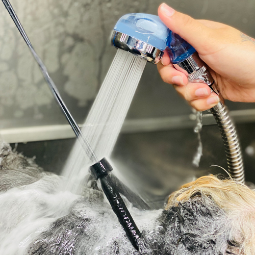 dog groomers witham essex - image of Nagayu CO2 Hydrotherapy Treatment